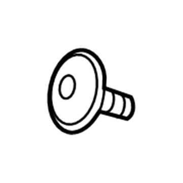 Chevy 11609460 Applique Screw