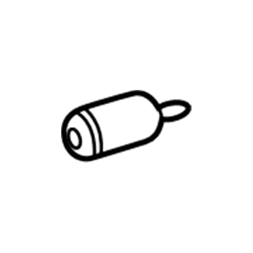 Chevy Fuel Water Separator Filter - 10333072