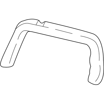 Chevy 10311248 Window Molding