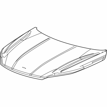26384412 GM Hood Assembly-. Illustration 1 of 1