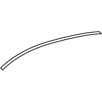 25913888 GM Seal Strip Illustration 1 of 1
