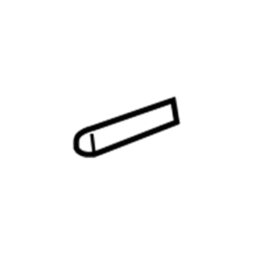 GM 15108693 Molding, Passenger Side 15108693 GM Molding, Passenger Side Illustration 1 of 1