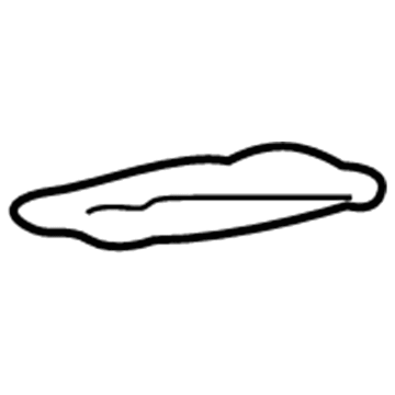 15921101 GM Lower Cover Plug Illustration 1 of 1