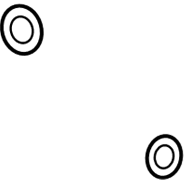 Chevy 13579648 Discharge Hose Seal