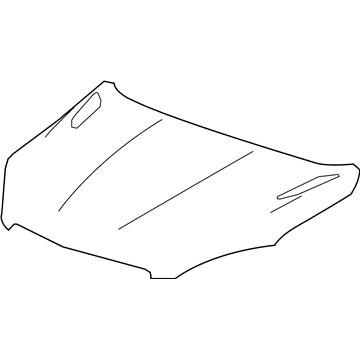 Buick Hood - 42341565