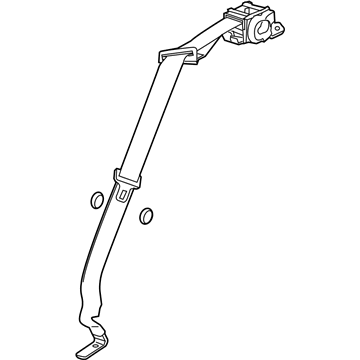 GM 19257565 Outer Belt, Rear Passenger Side 19257565 GM Outer Belt, Rear Passenger Side Illustration 1 of 1