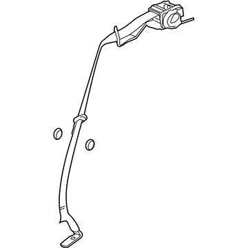 GM 19257568 Outer Belt, Rear Driver Side 19257568 GM Outer Belt, Rear Driver Side Illustration 1 of 1