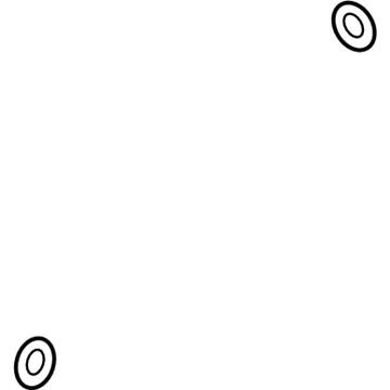 Chevy 13579648 Hose & Tube Assembly Seal