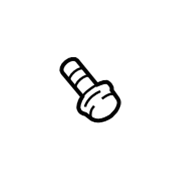 GM 11570964 Door Trim Panel Screw 11570964 GM Door Trim Panel Screw Illustration 1 of 1