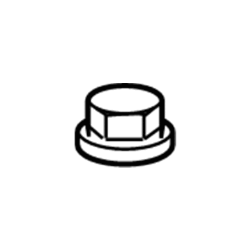 Pontiac 88971284 Top Nut
