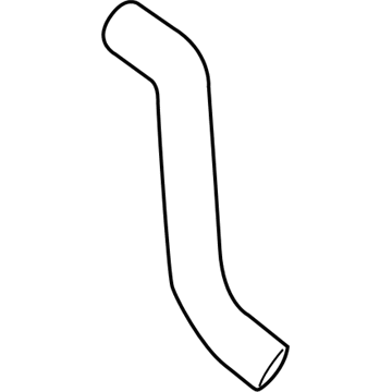 GM 19317259 Upper Hose 19317259 GM Upper Hose Illustration 1 of 1