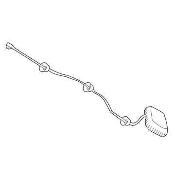 Pontiac Antenna - 92163842