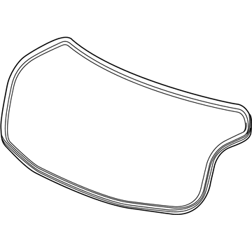 Cadillac XTS Weather Strip - 23131014