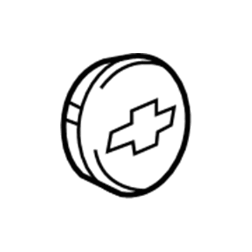 GM 22791586 Center Cap, Black 22791586 GM Center Cap, Black Illustration 1 of 1