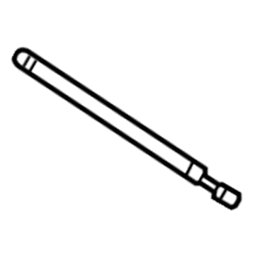 GM 15872898 Lift Cylinder, Driver Side 15872898 GM Lift Cylinder, Driver Side Illustration 1 of 1