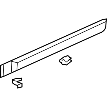 Saturn 19179813 Side Molding