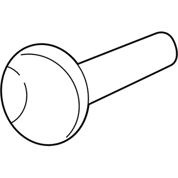 GM 11516314 Backup Lamp Assembly Screw 11516314 GM Backup Lamp Assembly Screw Illustration 1 of 1