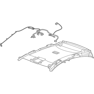 GM 84421900 Headliner 84421900 GM Headliner Illustration 1 of 1