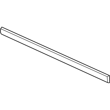 Chevy 22590154 Body Side Molding