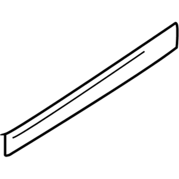 Chevy 22606247 Body Side Molding