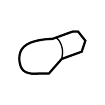 Chevy 13502321 Signal Lamp Bulb