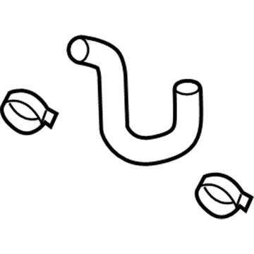 GM 15298839 Lower Hose, Upper 15298839 GM Lower Hose, Upper Illustration 1 of 1