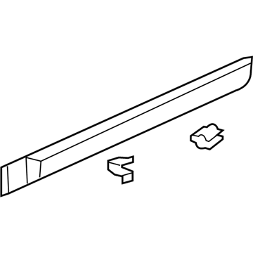 GM 19179813 Side Molding, Outer Passenger Side 19179813 GM Side Molding, Outer Passenger Side Illustration 1 of 1
