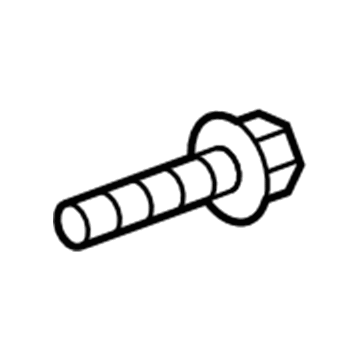 GMC 11570007 Door Check Bolt