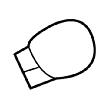Pontiac 88971490 Bulb