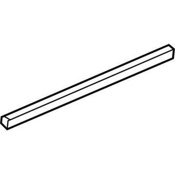 20897272 GM Belt Weatherstrip, Front Driver Side Illustration 1 of 1