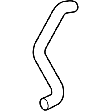 GM 10363794 Lower Hose 10363794 GM Lower Hose Illustration 1 of 1