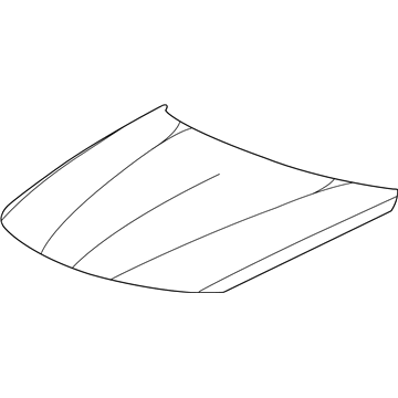 GM 19417350 Hood 19417350 GM Hood Illustration 1 of 1