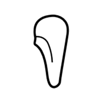GM 22585565 Shift Knob 22585565 GM Shift Knob Illustration 1 of 1