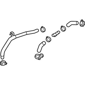 GM 20824599 Reservoir Hose 20824599 GM Reservoir Hose Illustration 1 of 1