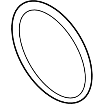 Chevy 91176048 Water Pump Seal