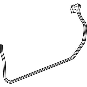 Cadillac 22755599 Door Weatherstrip