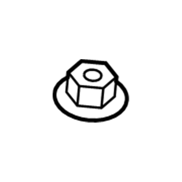 Chevy 3530297 Diagnostic Unit Nut