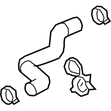 Chevy 84914054 Lower Hose