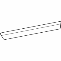 Buick Terraza Door Moldings - 19120914 Body Side Molding, Outer Passenger Side
