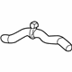 GM 23436683 Upper Hose GM 23436683 Upper Hose