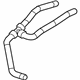GM 23203134 Coolant Hose