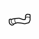 GM 25775101 Lower Hose