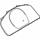 GM 19316396 Cluster Lens, Driver Side GM 19316396 Cluster Lens, Driver Side