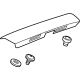 GM 42647023 Handle Molding, Rear Center GM 42647023 Handle Molding, Rear Center