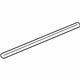 GM 21995156 Belt Weatherstrip, Front Outer Passenger Side
