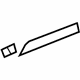 GM 20849931 Molding GM 20849931 Molding