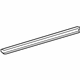 GM 20867208 Belt Weatherstrip, Rear Driver Side