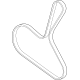 GM 25203354 Belt-Accessory Drive Primary GM 25203354 Belt-Accessory Drive Primary