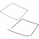 GM 23210485 Windshield