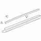 GM 19167156 Rocker Molding, Driver Side